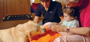 RTEmagicC_baby_hund_02.jpg