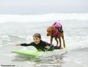 surfing-dog-service-disabled-people-surf-board-ricochet-3