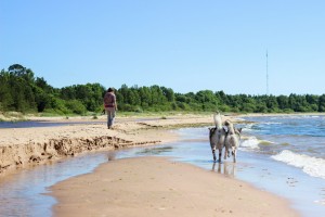 Zmogus, sunys , jura