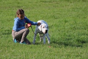 argentinos dogiukas m