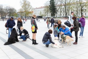 sunys aiksteje
