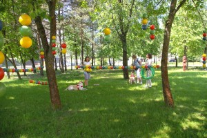 viltis-sunys-sode