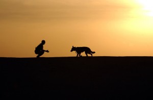 dog-trainer-silhouettes-sunset-38284-large