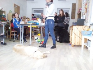 img_20170105_115530