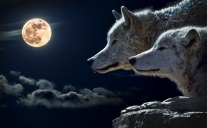 wolf-torque-wolf-moon-cloud-45242